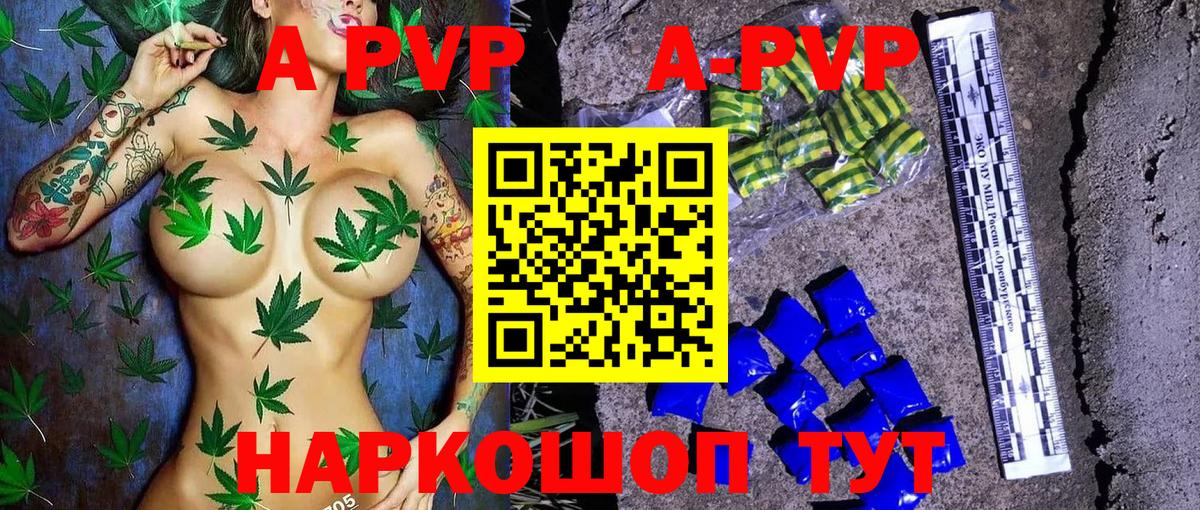 Alfa_PVP СК КРИС  A-PVP  Чистополь  Альфа ПВП СК КРИС  Вход с VPN 
