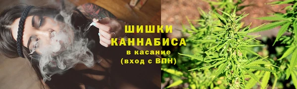 мет Алзамай