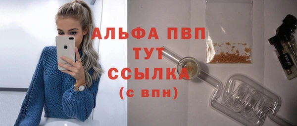 хмурый Новозыбков