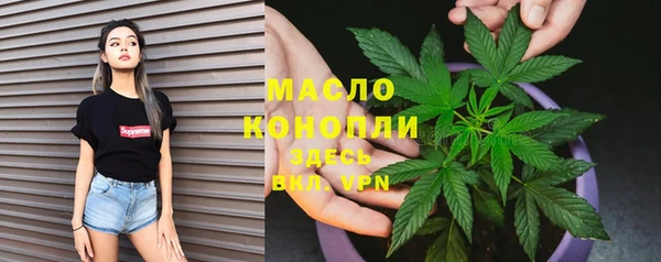 хмурый Новозыбков