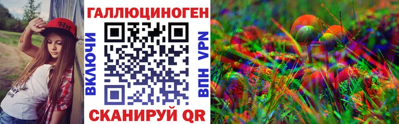 Псилоцибиновые грибы GOLDEN TEACHER магазин продажи дарк нет как зайти Чистополь