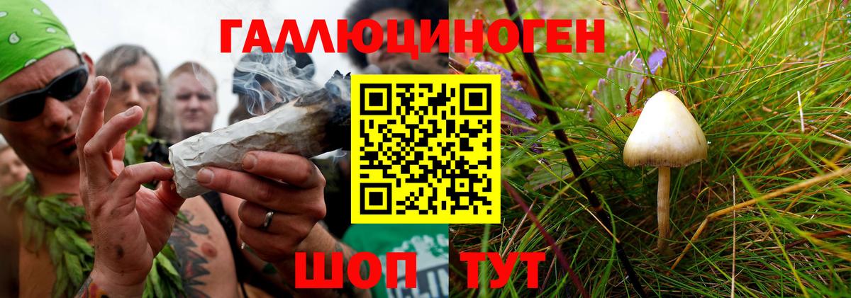 Галлюциногенные грибы GOLDEN TEACHER Чистополь