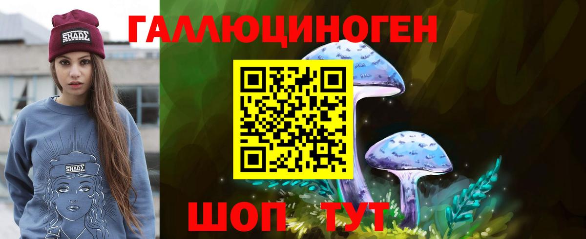 Галлюциногенные грибы GOLDEN TEACHER  Псилоцибиновые грибы Cubensis  Вход с VPN  Чистополь 