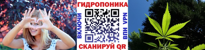 цены наркотик  Чистополь  omg онион  Канабис Amnesia 